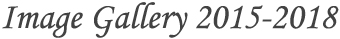 2015-2018 Image Gallery